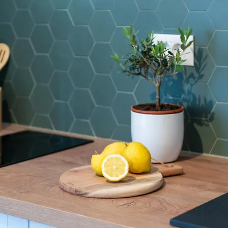 New Premium Rivetta 아파트 포레치